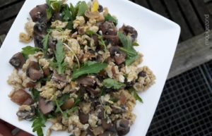 roerei, champignons, champignons roerei, vegettarisch, veggies